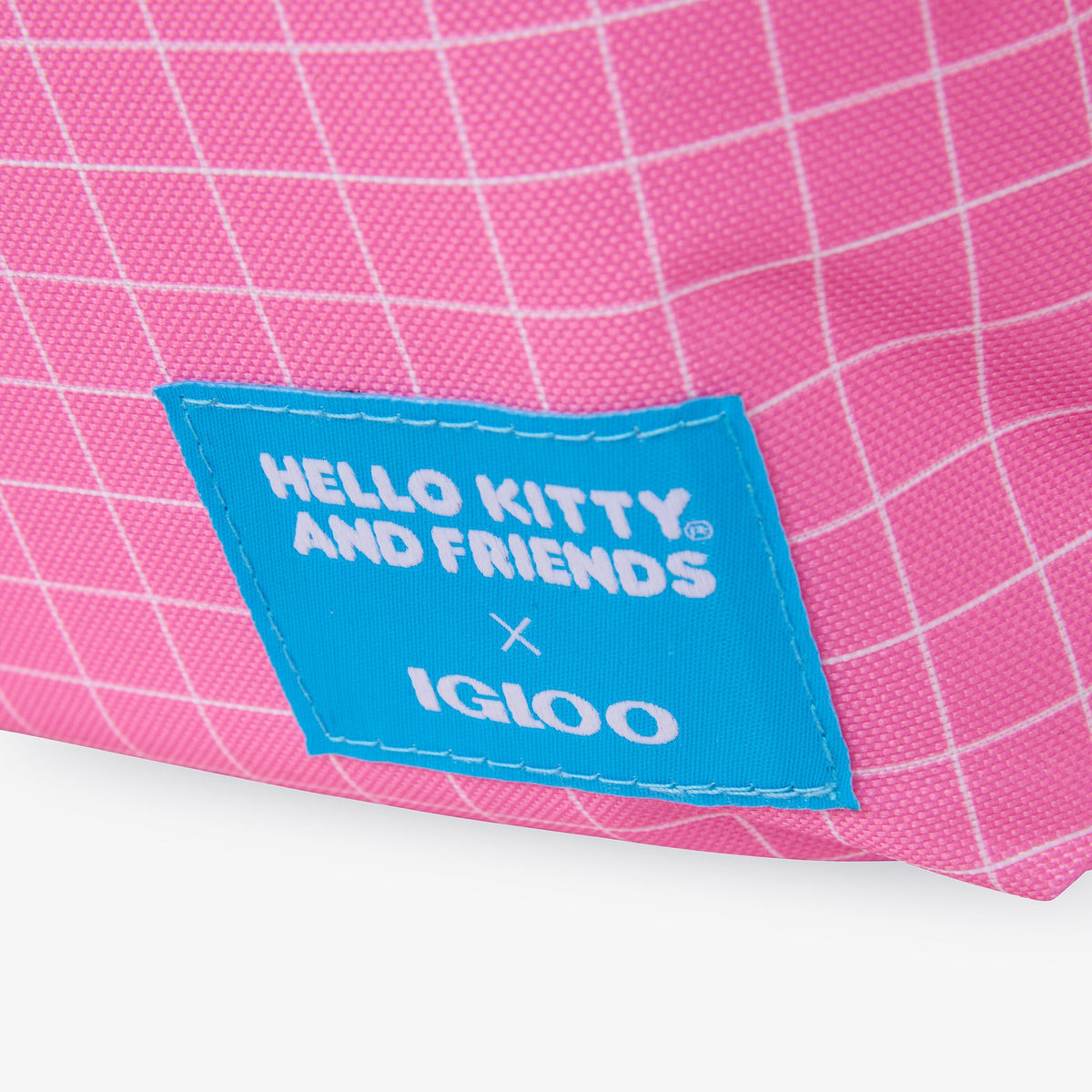 hello-kitty-and-friends-bff-mini-convertible-backpack-cooler-t5 00027591-L.jpg