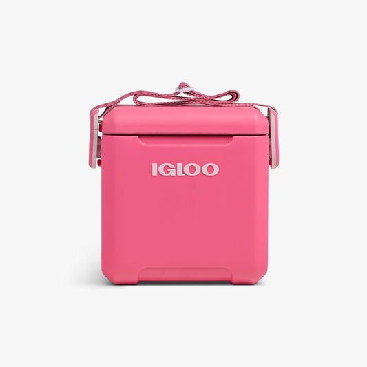 tag-along-too-remix-cooler-g6 00033199-F_b52932ea-89da-4d5d-89b7-a037712c2f16.jpg