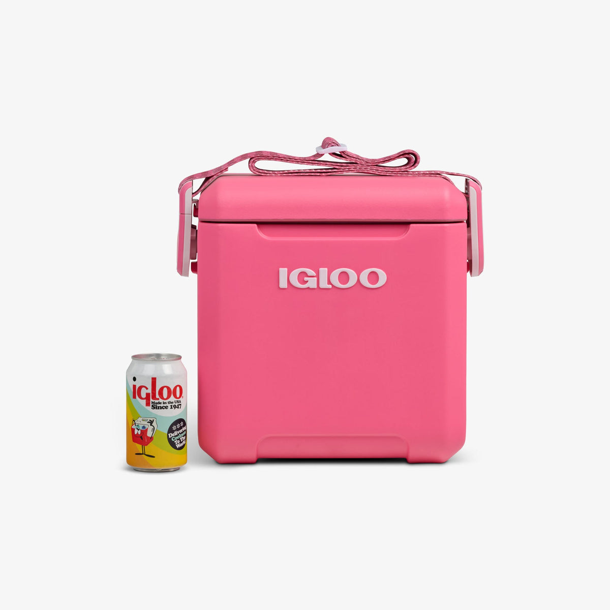 tag-along-too-remix-cooler-g6 00033199-P_861a5cd2-f15c-4217-a471-e33cc3890d9e.jpg