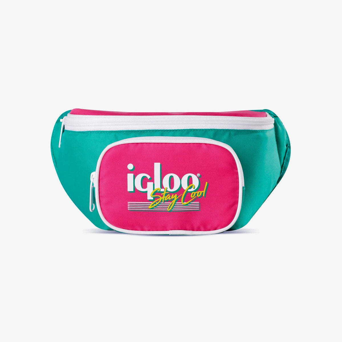 retro-fanny-pack-n3 00065477_front_b0559ebd-4f12-490c-9437-343e59989fde.jpg