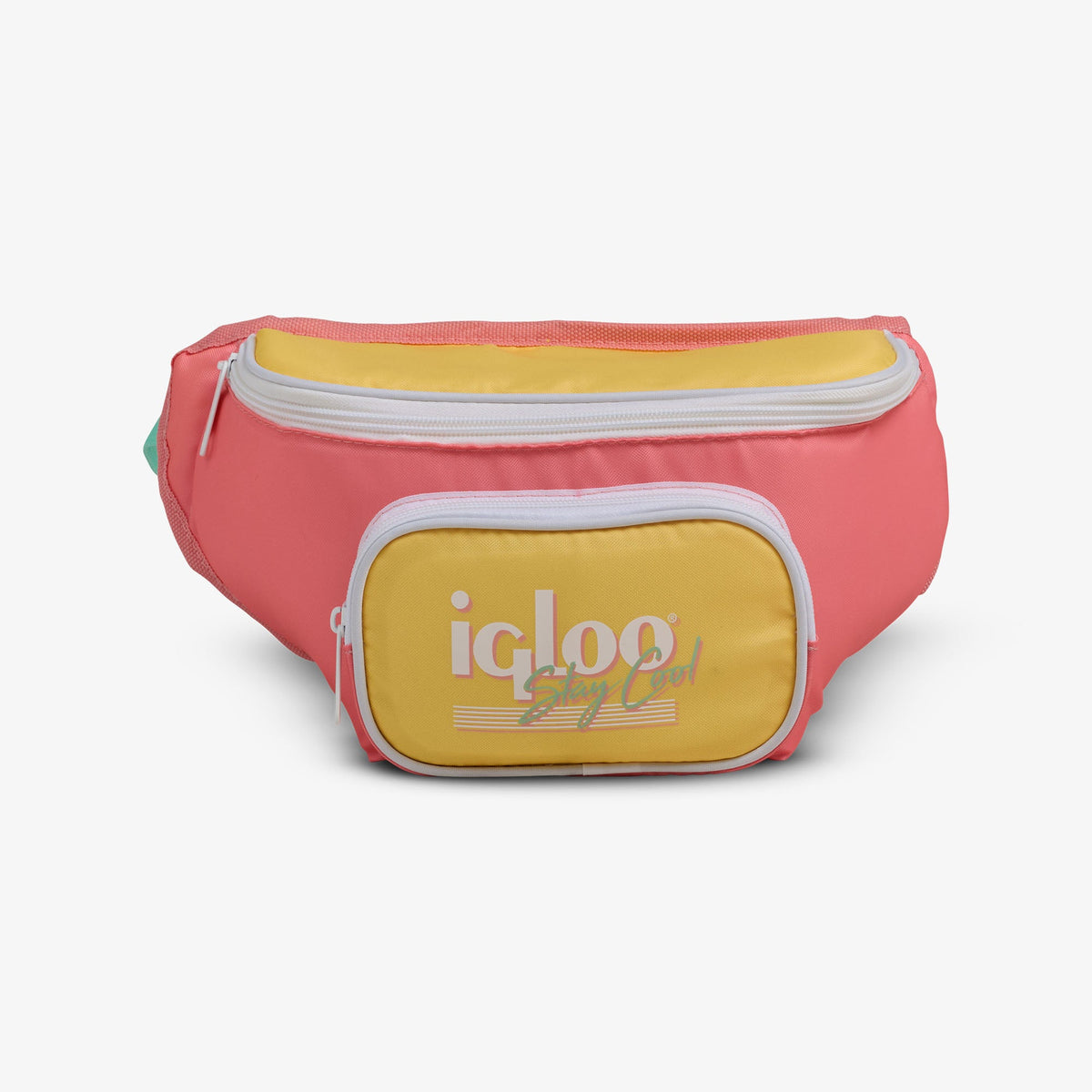 retro-fanny-pack-n3 00066660-F.jpg